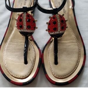 🐞IN SEARCH OF🐞